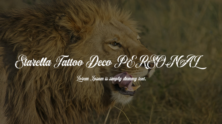 Starella Tattoo Deco PERSONAL Font Family