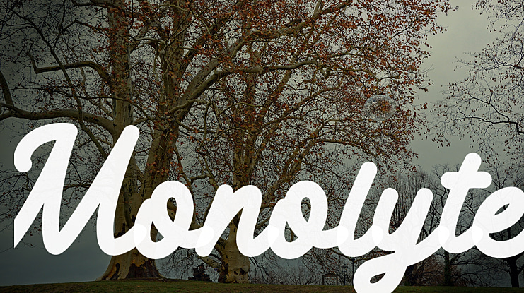 Monolyte Font