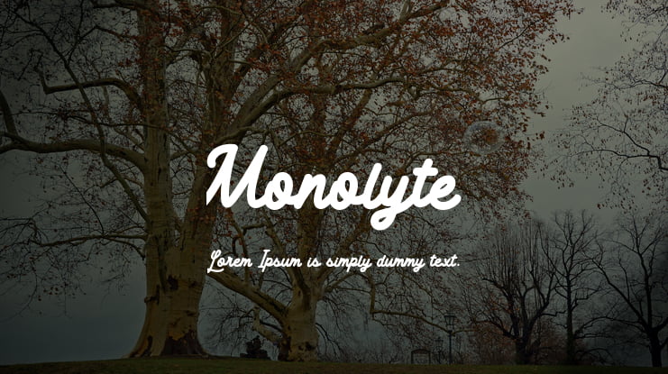Monolyte Font