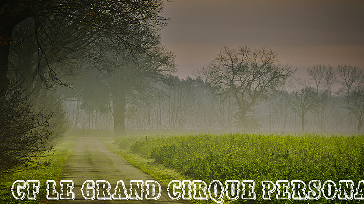 CF Le grand cirque Personal Font