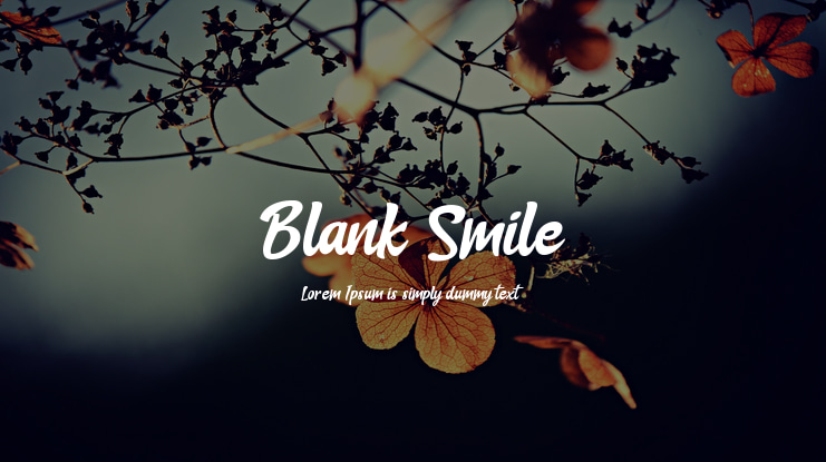 Blank Smile Font