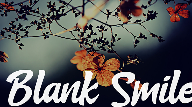 Blank Smile Font
