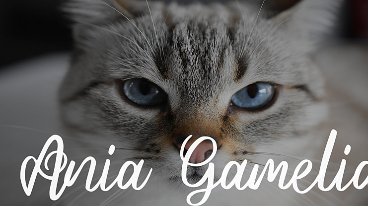 Ania Gamelia Font