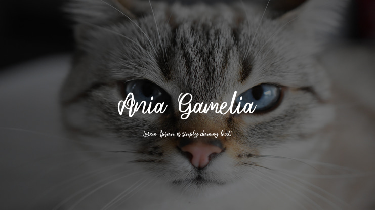 Ania Gamelia Font