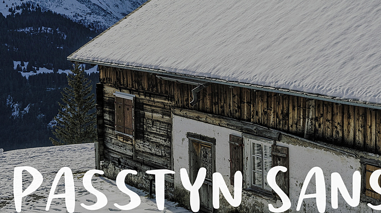 Passtyn Sans Font Family