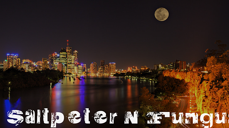 Saltpeter N Fungus Font