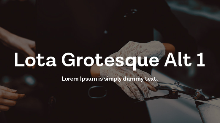 Lota Grotesque Alt 1 Font Family
