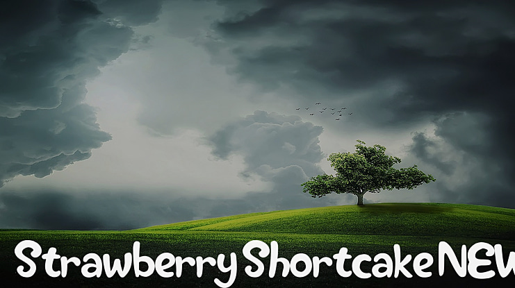 Strawberry Shortcake NEW Font