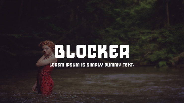 Blocker Font