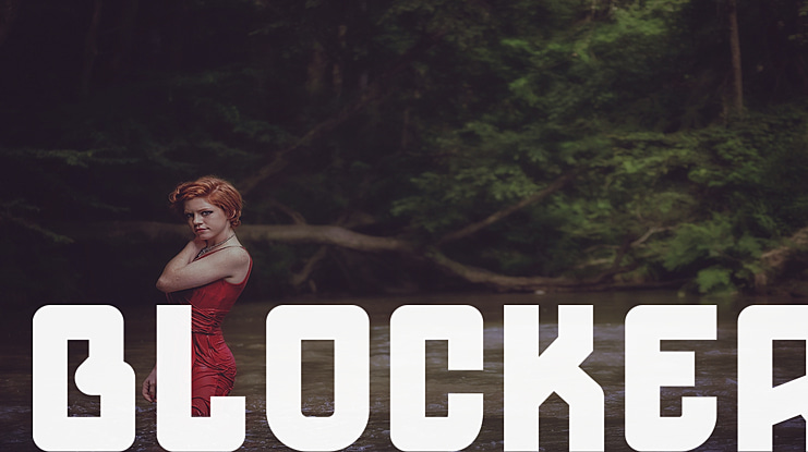 Blocker Font