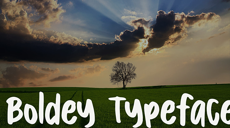 Boldey Typeface Font