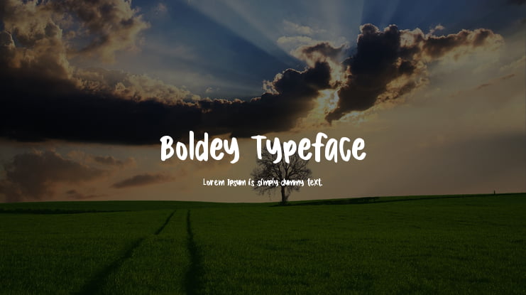 Boldey Typeface Font