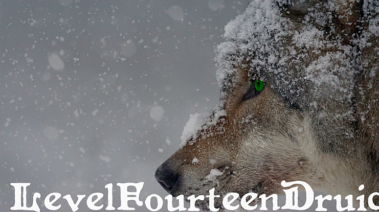 LevelFourteenDruid Font