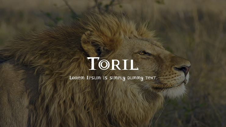 Toril Font