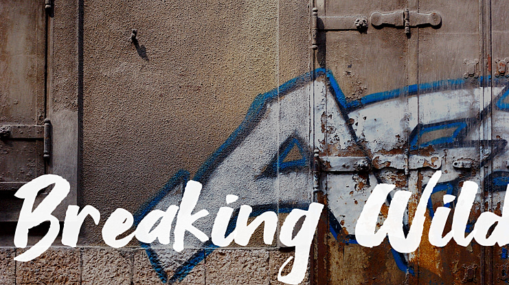 Breaking Wild Font