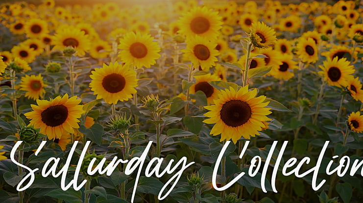 Satturday Collection Font