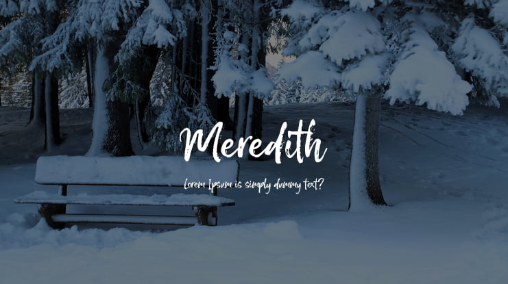 Meredith Font