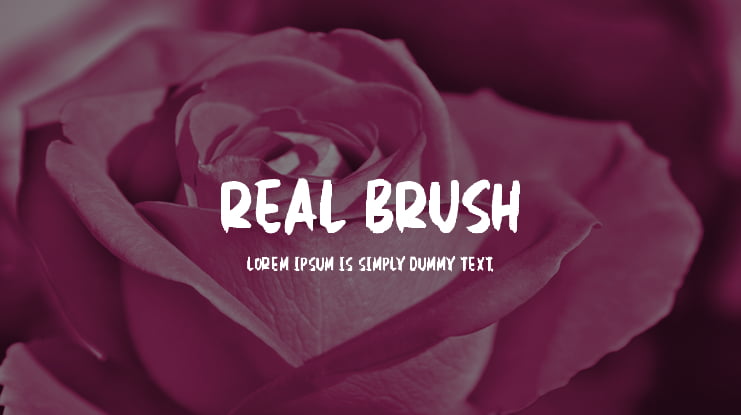 Real Brush Font