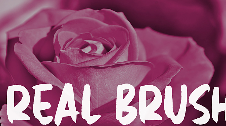 Real Brush Font