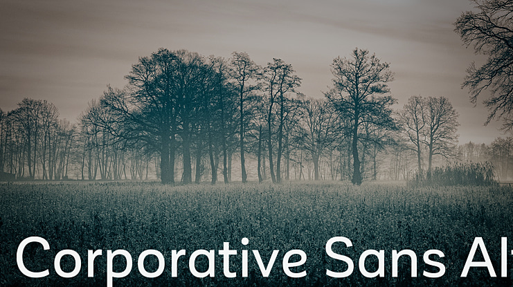 Corporative Alt Font Family