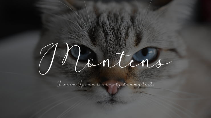 Montens Font