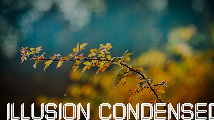 Illusion Condensed Font Family