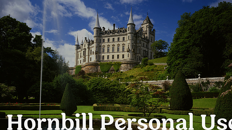 Hornbill Personal Use Font Family