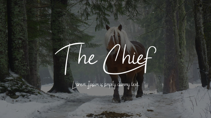 The Chief Font