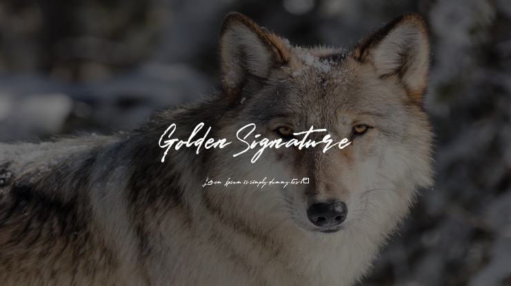 GoldenSignature Font