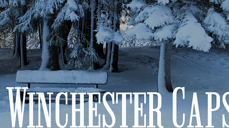 Winchester Caps Font Family