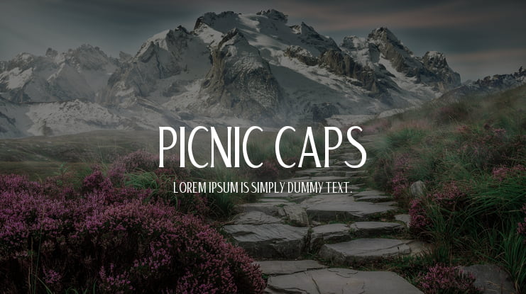 Picnic Caps Font Family