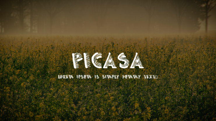 Picasa Font