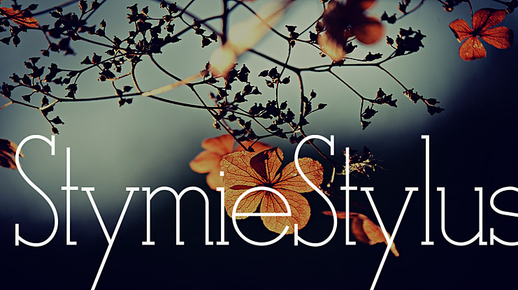 StymieStylus Font Family