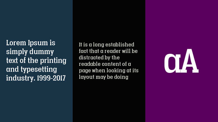 Vacer Serif Personal Font Family