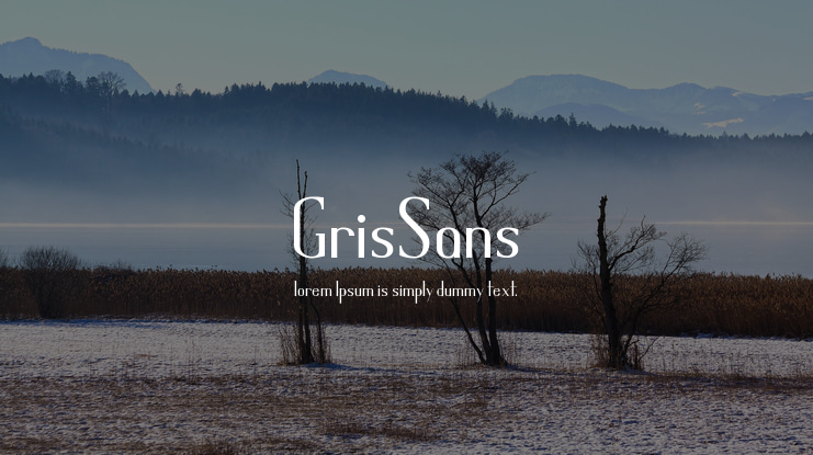 GrisSans Font