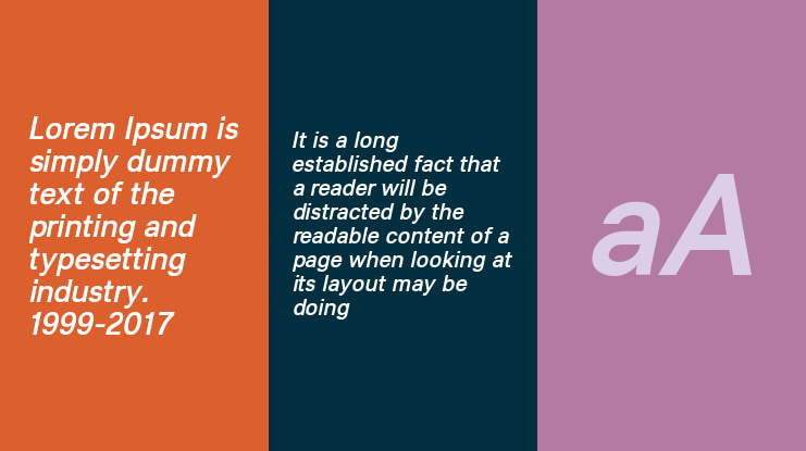 Lunchtype21 Font Family