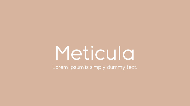 Meticula Font