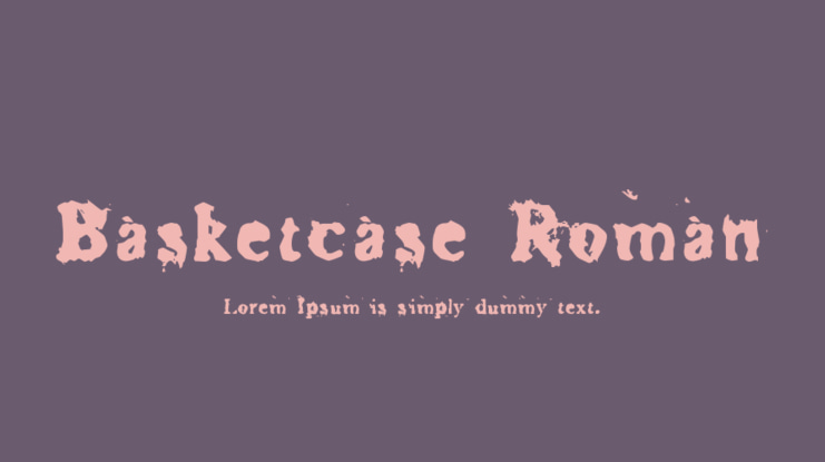 Basketcase Roman Font