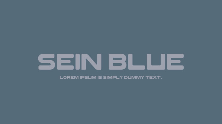 SEIN BLUE Font