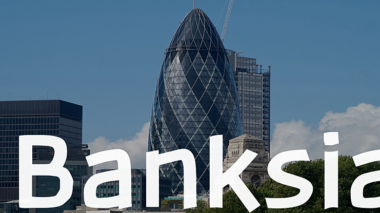 Banksia Font Family
