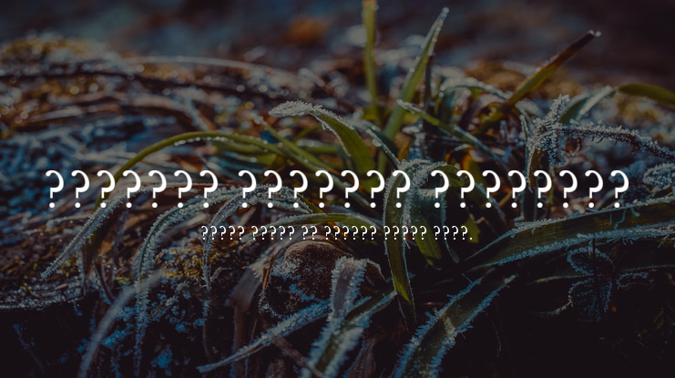 DXQuant Antiqua Libertin Font