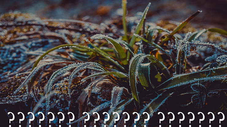 DXQuant Antiqua Libertin Font