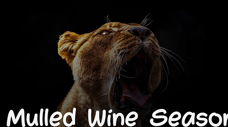 Mulled Wine Season Font