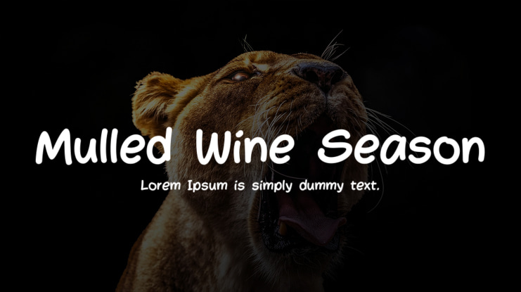 Mulled Wine Season Font