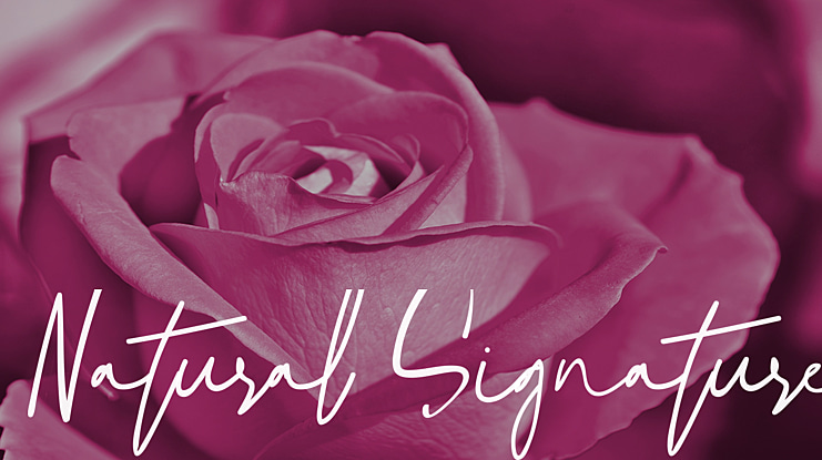 Natural Signature Font