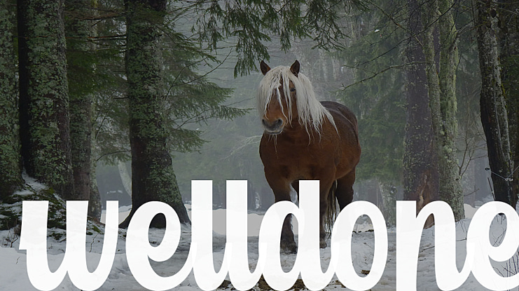 welldone Font