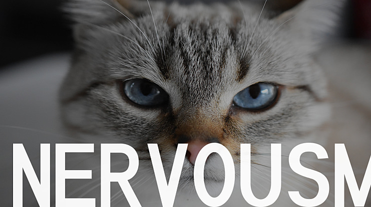 Nervousm Font Family