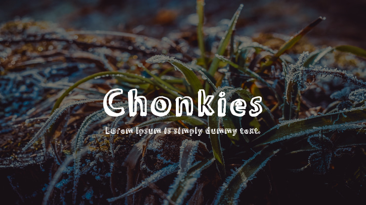 Chonkies Font