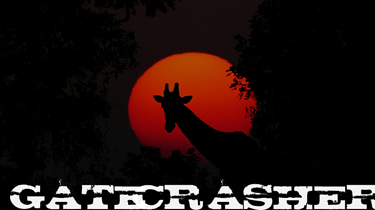 Gatecrasher Font