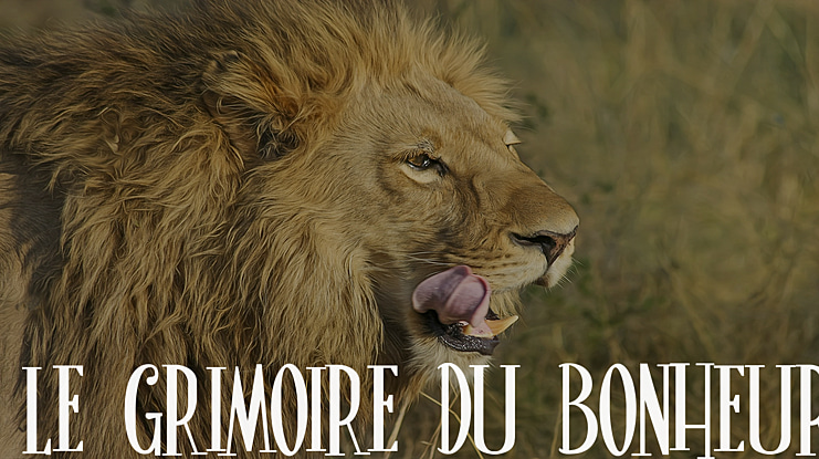 Le Grimoire du Bonheur Font
